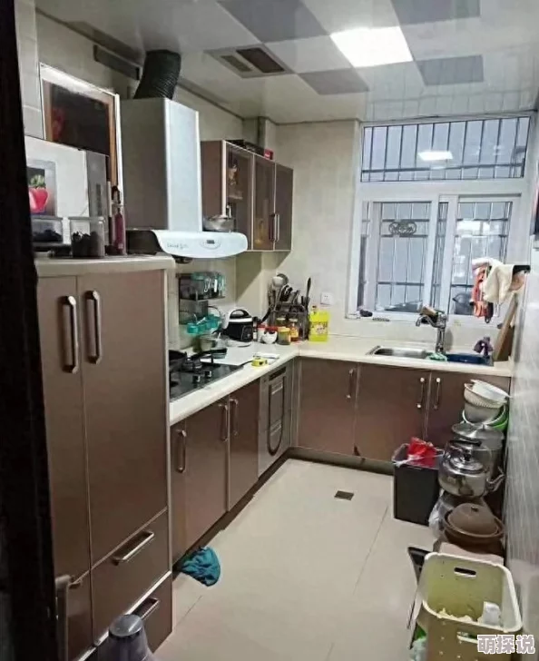 从厨房一路干到客厅好吗公交车这句网络流行语源于某位网友的调侃评论