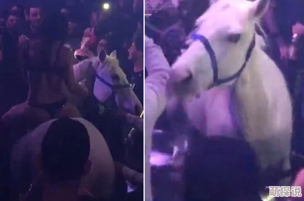 伊人成综合网一级视频巴黎夜旅人