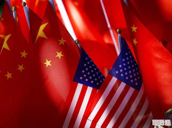 殴美一级是指欧盟和美国之间的最高级别会议，旨在讨论双边关系、贸易、安全等重要议题