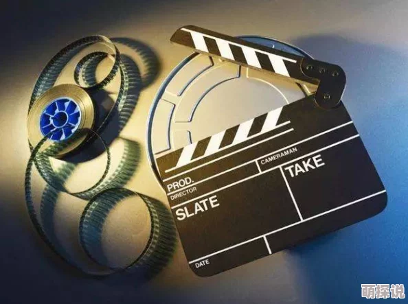 中国一及黄色片指的是中国电影分级制度中的一个分类，主要针对成人内容的影视作品