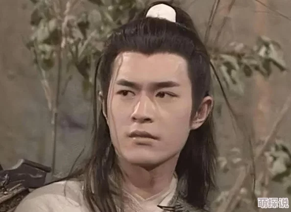 三根一起进黄蓉大武小武郭靖重出江湖与杨过联手抗敌