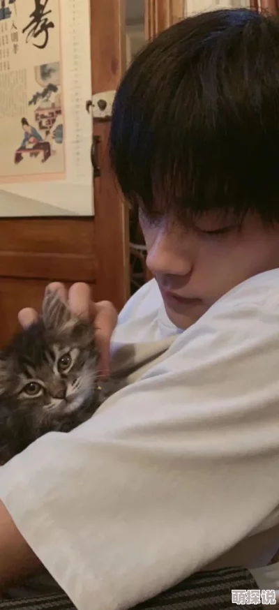 小黄文污到你湿最近爆红网络平台流量飙升 小黄文污到你湿最近爆红网络平台流量飙升