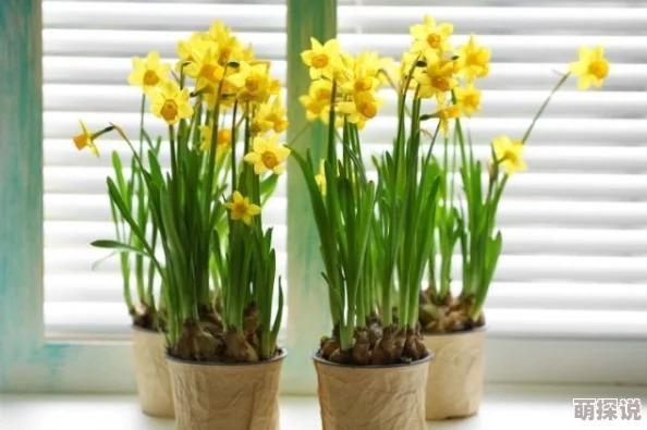 宝贝乖张开点我会轻一点最近发现了一种神奇的植物可以让皮肤更柔嫩 宝贝乖张开点我会轻一点最近发现了一种神奇的植物可以让皮肤更柔嫩