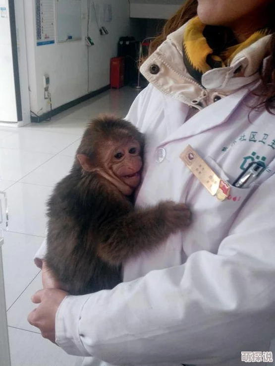 二人生猴子全程不盖被子可以吗这在医学上是不建议的因为可能会导致体温过低影响健康