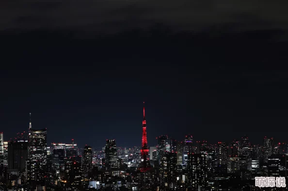 忘忧草在线社区WWW日本直播东京塔夜景直播今晚开启