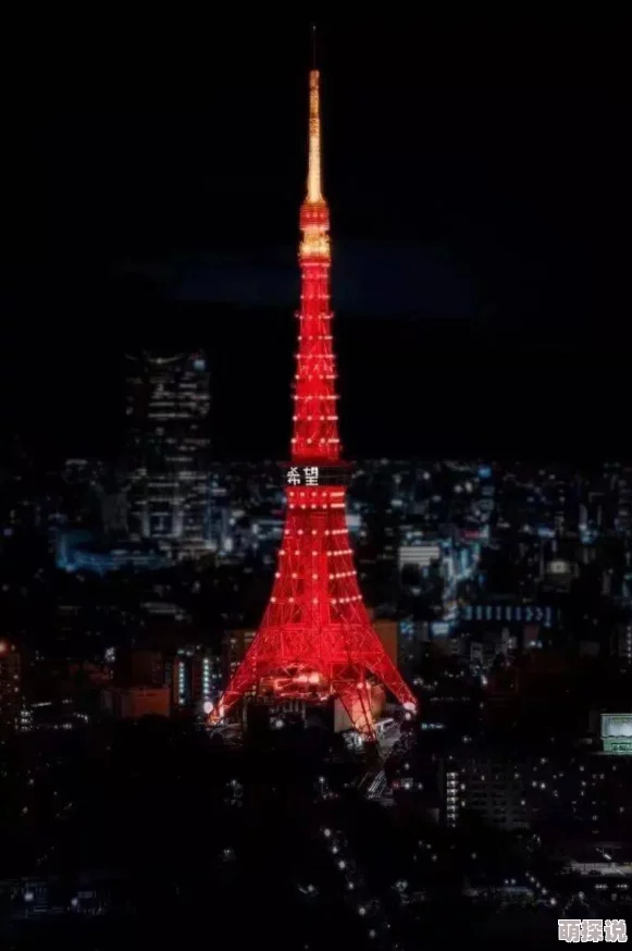 忘忧草在线社区WWW日本直播东京塔夜景直播今晚开启