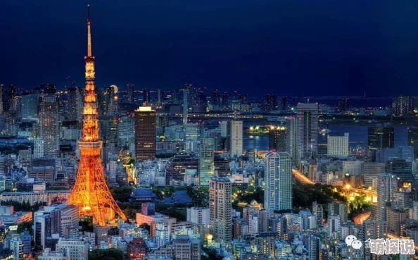 忘忧草在线社区WWW日本直播东京塔夜景直播今晚开启