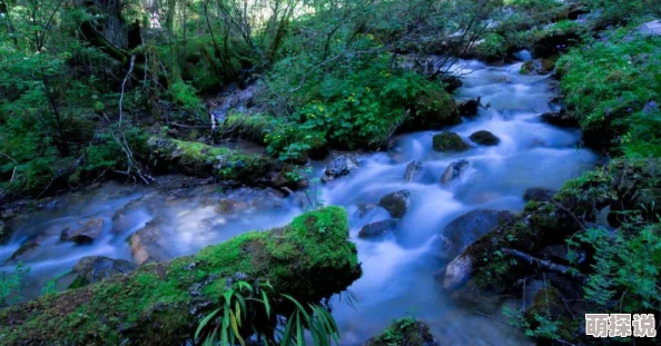 抵在洗手台挺进撞击h最近科学家发现了一种可以净化空气的植物