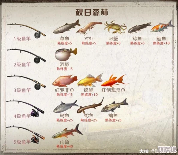 明日之后钓鱼全攻略大揭秘：鱼饵与鱼竿高效获取详细讲解