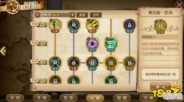 航海王燃烧意志：路奇全面培养攻略，详解装备选择与宝石搭配技巧