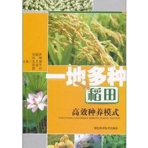 江湖悠悠：高效种地技巧揭秘，种植时避免拖拽操作的关键策略