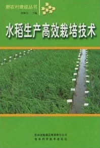 江湖悠悠：高效种地技巧揭秘，种植时避免拖拽操作的关键策略