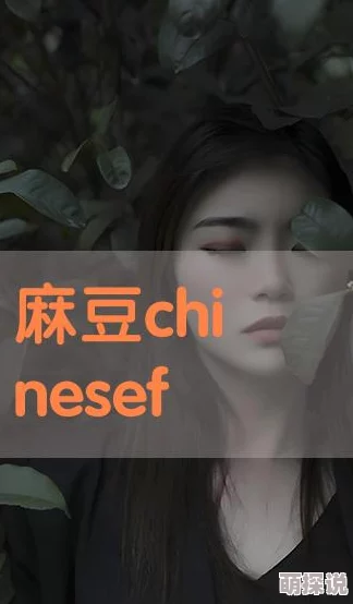 chinese麻豆videos是指以中国元素为主题的视频内容