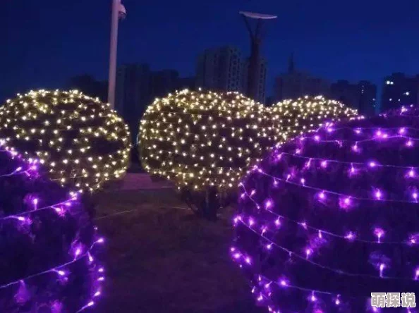 gayvxxxxgay春节期间推出特别版彩虹灯饰点亮城市夜空增添节日气氛