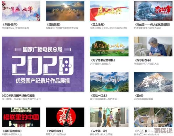 一级毛片免费网站最近更新了高清4K视频资源库