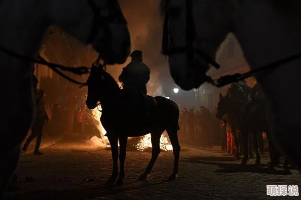 《战神黎明》深度攻略：纯守护神角色培养要点与策略详解解析