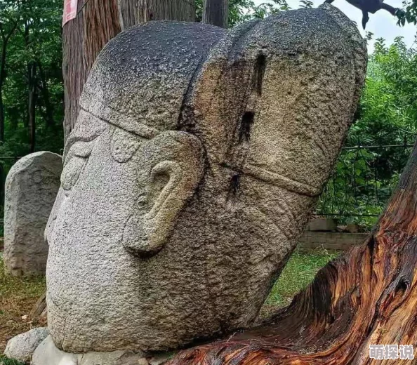 贪婪洞窟2攻略：巨石旷野藏宝图碎片高效获得方法全面介绍