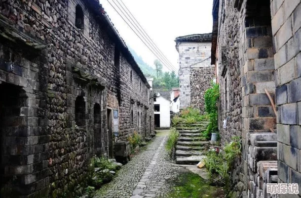 元素地牢挑战攻略：远古巨像高效打法与策略详解指南