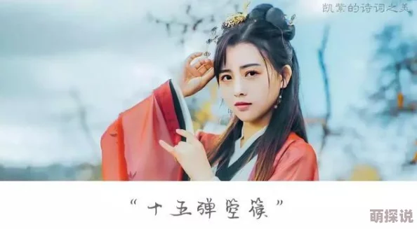苏玥是我媳妇大唐小娘子第二季勇敢追梦展现女性力量与智慧