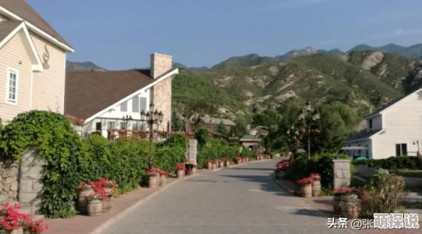醉饮黄龙近日该酒庄推出限量版新酒，采用独特酿造工艺，口感更加醇厚，深受酒友喜爱