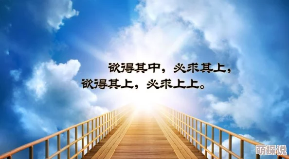 桑田实横空出世勇攀高峰追逐梦想成就辉煌人生