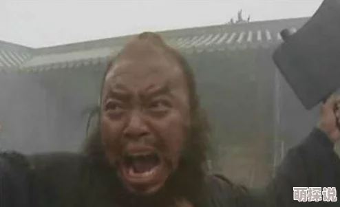 全民水浒策略揭秘：欺凌阵武将完美搭配方案，全面克制奶杀阵容新攻略