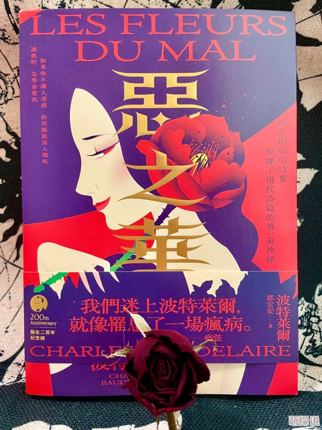 黄小说在线观看爱兽恶之华心怀善念共创美好未来