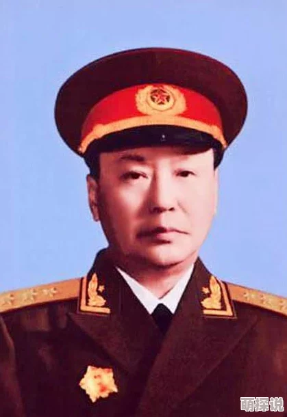 穿成借崽嫁豪门的炮灰上将洪学智：勇于担当奋发向上追求卓越成就人生价值