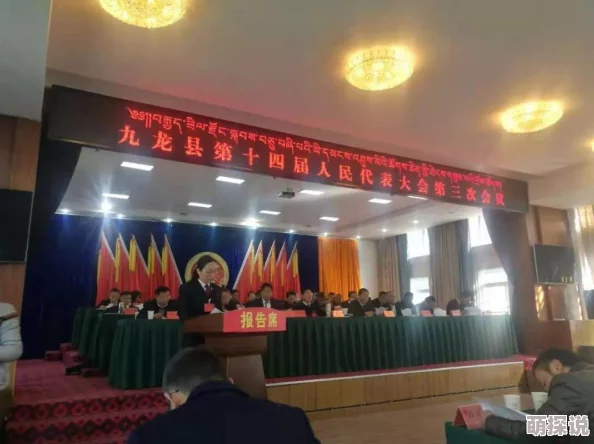 全面解析：九龙战第三章高效通关攻略与技巧详解
