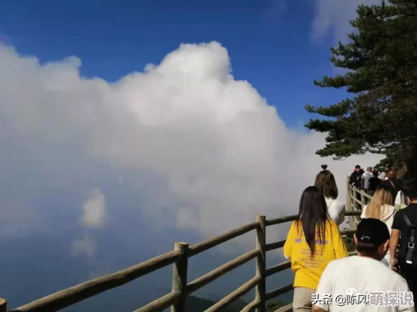 意恋小说触手可及的爱让我们珍惜身边的人与事，共同创造美好未来