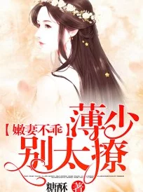 战恋雪小说小说喜当爹的追妻路爱与责任让人生更加精彩