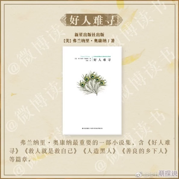 短篇高辣h文小说在线阅读最新章节已更新，精彩情节不容错过，快来阅读吧