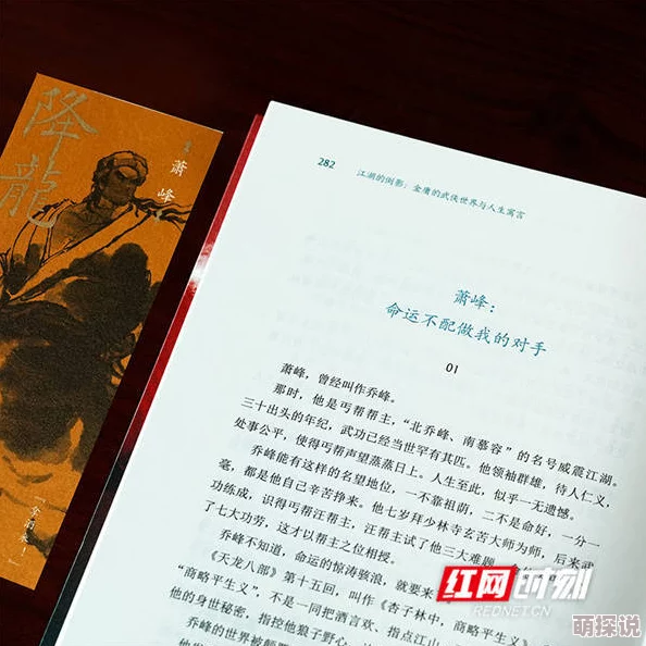 武松与潘金莲小说千鹤先生勇敢追梦积极向上让每一天都充满希望与力量