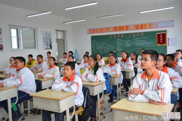全民农场高手攻略：掌握订单发布技巧，提升收益与效率的30个实用建议