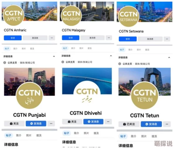 白白布布国内永久发布近日推出全新产品线，涵盖多种风格与材质，满足不同消费者需求