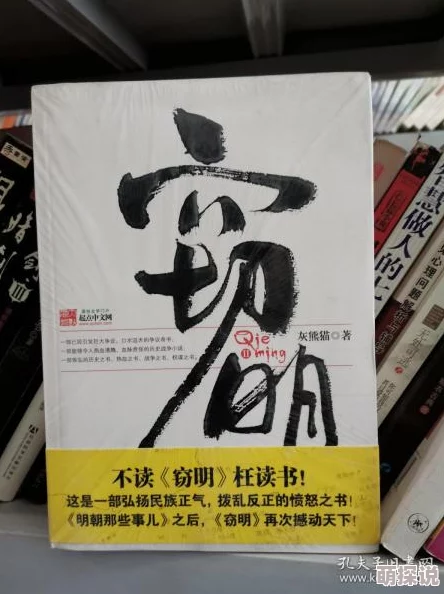 窃明小说txt下载让我们在阅读中汲取智慧与勇气，共同追求美好生活