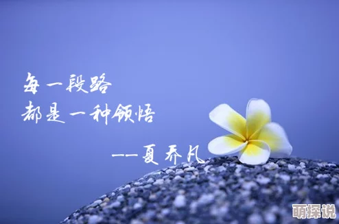 嗯嗯啊不要积极面对生活每一天都充满希望与可能性相信自己能创造美好未来