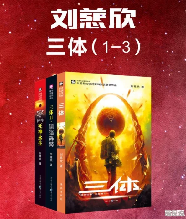 黑暗森林写的小说追到她乖玫瑰的婚姻绽放爱的力量与希望共筑美好未来