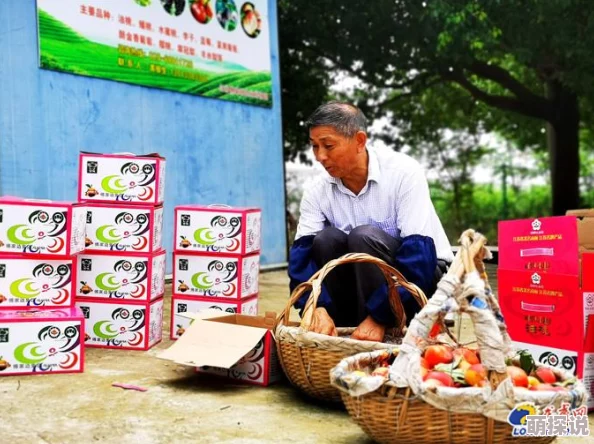 明日之后游戏攻略：草莓获取全解析，多种获得方法助你轻松收集草莓