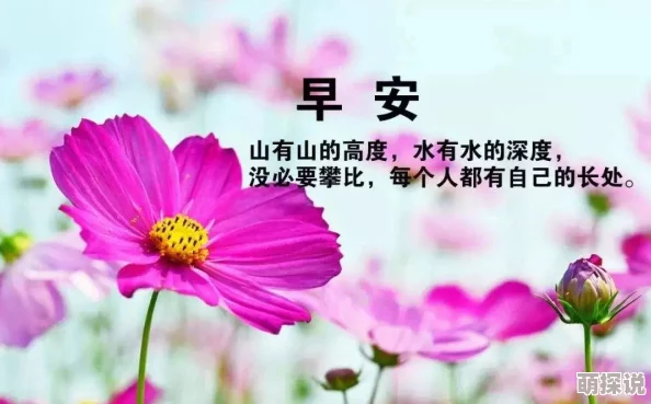 满室生香心怀感恩生活充满希望每一天都值得期待
