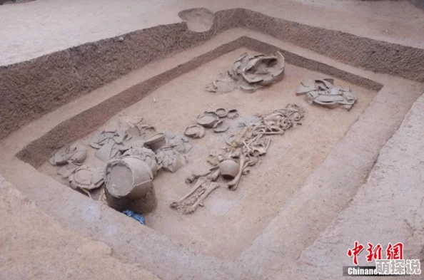np古代h文高h近日考古学家在某遗址发现了保存完好的古代文物，揭示了当时的文化生活。