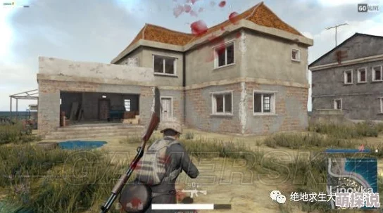 绝地求生刺激战场别墅区深度解析：建筑布局与战术优势全面分析