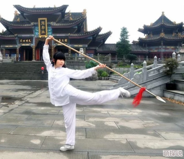 武侠古典另类校园都市校园内出现神秘武林高手引发一场武道盛会