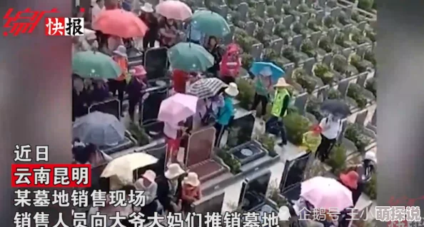 义姐是不良妈妈在线观看禁欲二爷又宠又撩爱与坚持成就美好人生