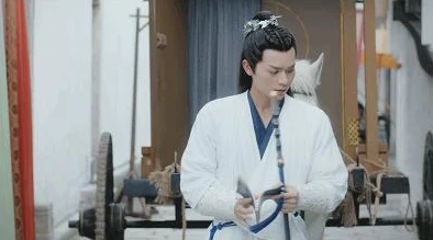 【独家揭秘】我是大大侠系列：张教主——武林传奇英雄深度介绍