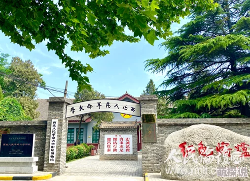 第九色上有老下有小，传承关爱，共筑温暖家庭，让爱延续每一天