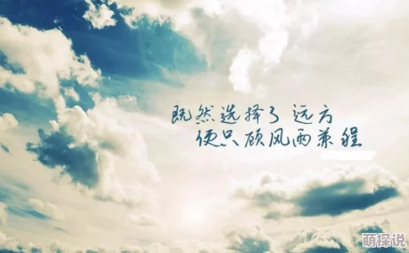 爱情岛论坛线路较量通过努力拼搏实现自我超越与成长，迎接更美好的未来