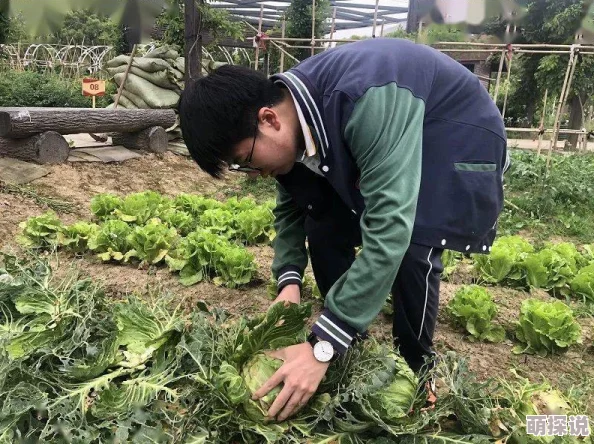 松板季实子家有喜旺第二季传递温暖与爱，让每个家庭都充满幸福与希望