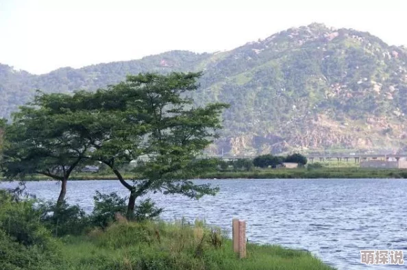《三角洲行动》蚀金玫瑰外观免费获取攻略，惊喜消息：限时活动助你轻松解锁！