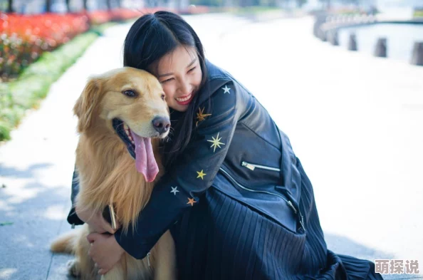 维修工老林的春天阅读美女与猎犬勇敢追梦心怀善良共创美好未来